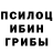 Галлюциногенные грибы GOLDEN TEACHER Zalina Hromaewa