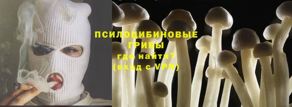 прущие крисы Алзамай