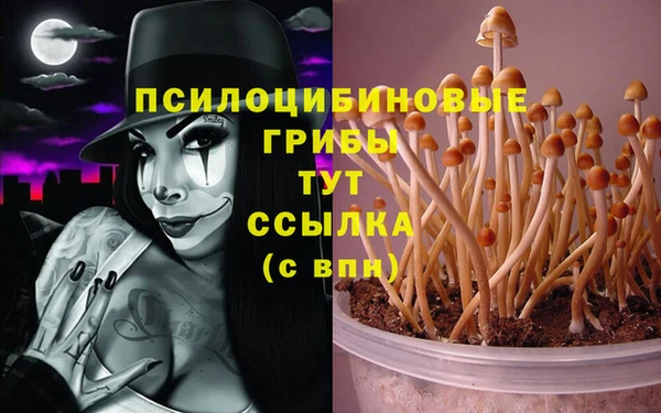 мет Алексин