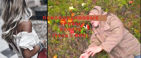 мет Алексин
