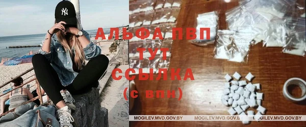 мет Алексин
