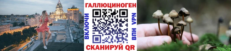 Галлюциногенные грибы Cubensis Пролетарск